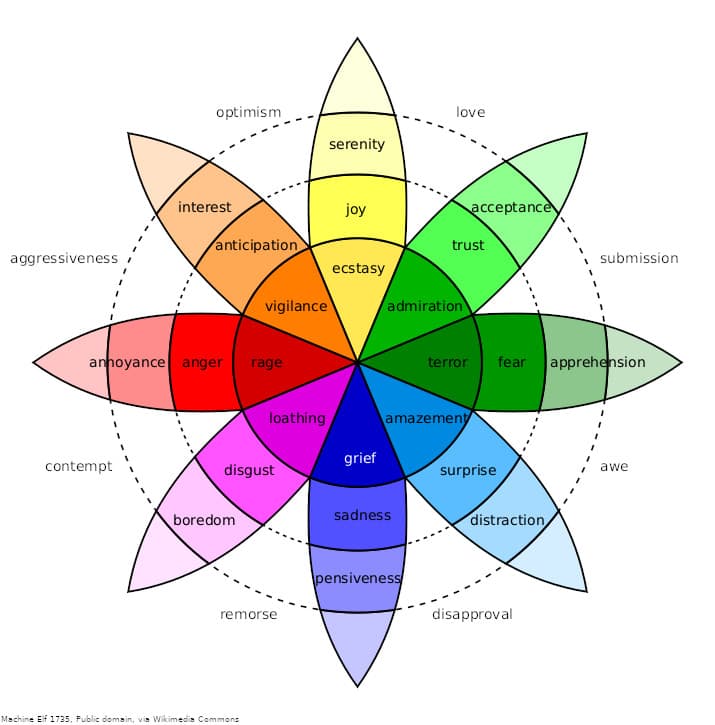 Emotion Categories